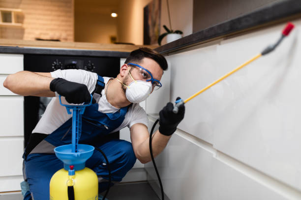 Best Residential Pest Control  in Steubenville, OH