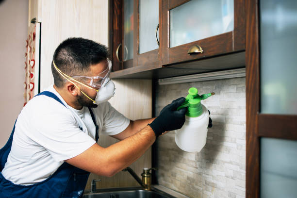 Best Pest Inspection Near Me  in Steubenville, OH