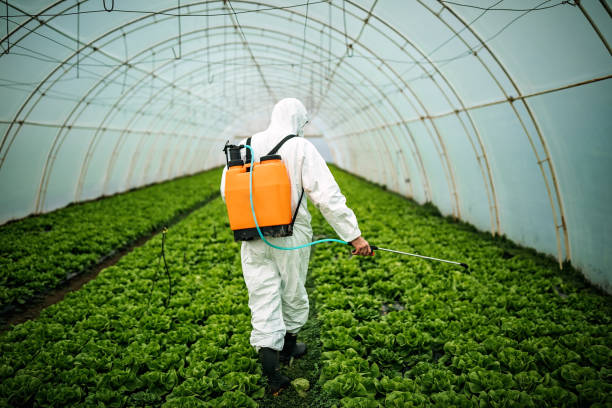 Best Local Pest Control Services  in Steubenville, OH