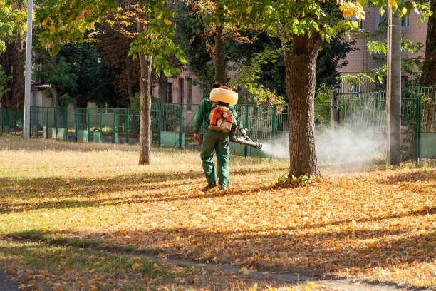 Best Best Pest Control Companies  in Steubenville, OH