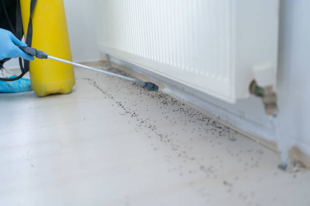 Best Mosquito Control Services  in Steubenville, OH